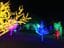 Hunter Valley Christmas Lights Spectacular 2019 Image -5e9b6fdaeb1a6